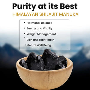 Himalayan Shilajit Gummies – Buie Holistic Herbs