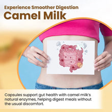 Load image into Gallery viewer, Camel Milk Capsules | 60 Capsules