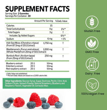 Load image into Gallery viewer, BUIE Sea Moss Gummies with Bladderwrack, Burdock Root &amp; Berry | 60 Gummies