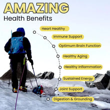 Load image into Gallery viewer, Himalayan Shilajit Gummies