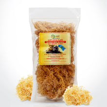 Load image into Gallery viewer, Irish Sea Moss | 8 Oz of Organic Raw Sea Moss | Ideal to make 60+ Oz of Gel | Sun-Dried Golden Sea Moss | Straight from the Coast of St. Lucia