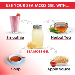 Peruvian Sea Moss - Chondrus Crispus | Makes ample Oz of Sea Moss Gel | Dr. Sebi Inspired, Sun-Dried | Pacific Coast's Finest & Dense Sea Moss