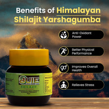 Load image into Gallery viewer, BUIE Shilajit &amp; Yarshagumba