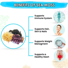 Load image into Gallery viewer, BUIE Multi Color Full Spectrum Irish Sea Moss | Dr. Sebi Inspired | Gold – Green – Purple Sea Moss |No Preservatives | Sun-Dried Sea Moss from the Coast of St. Lucia